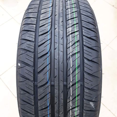 Lốp Dunlop Grandtrek PT2A