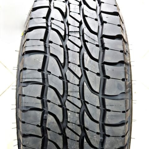 Lốp Michelin LTX Force