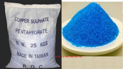 Đồng Sulfate- CuSO4