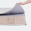 Đệm cao su Natural Charcoal Latex Plus dày 14cm