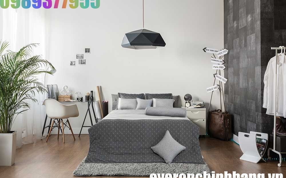 Bộ Everon 2023 mã EPM 23065 - Modal