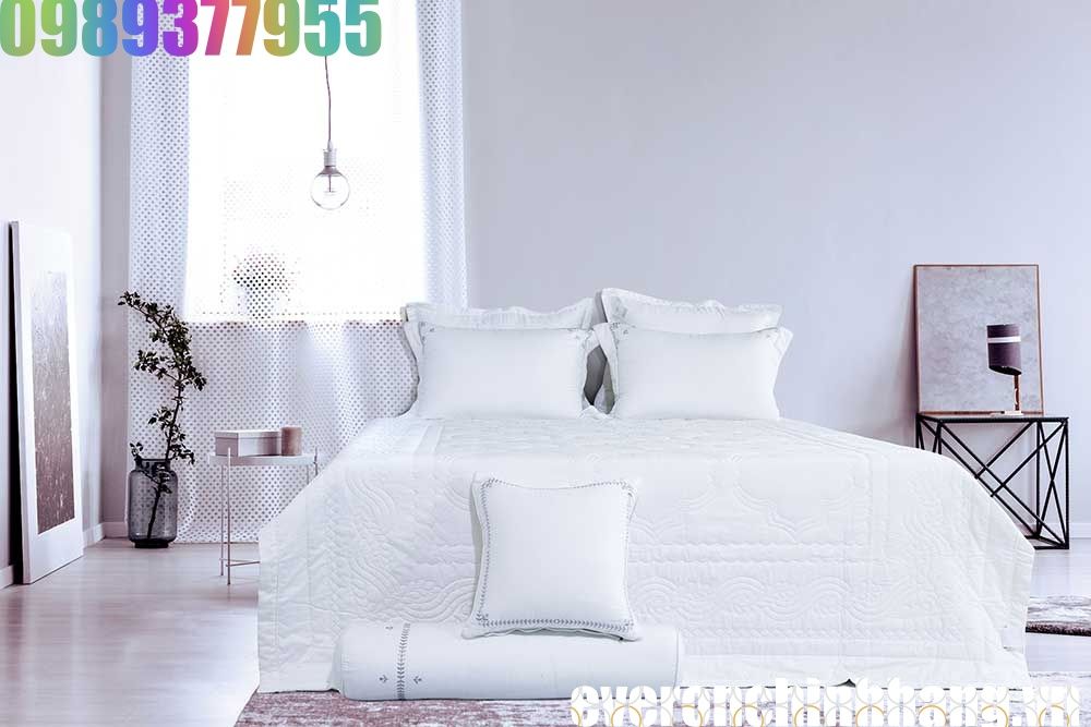 Bộ Everon 2023 mã ESM 23011 - Modal