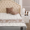 Đệm lò xo Kingkoil Cloud Pillow Top