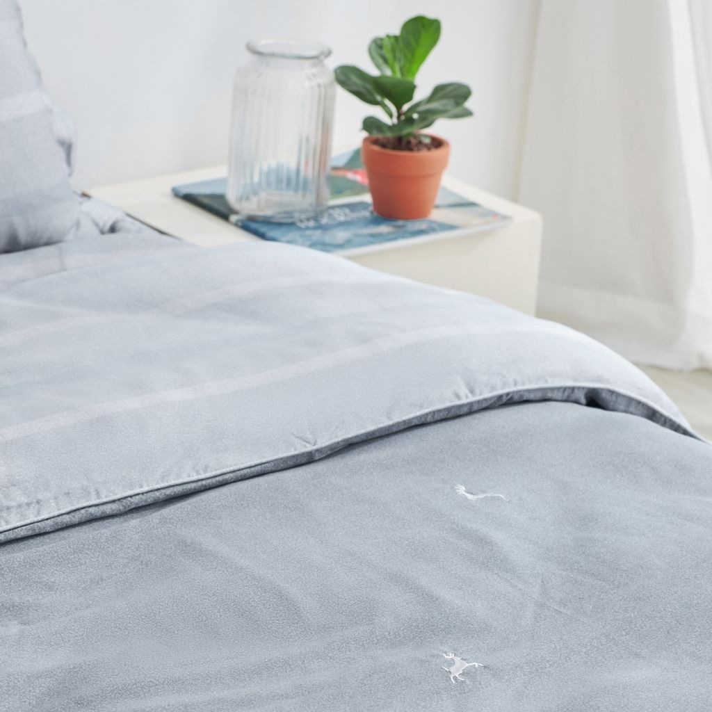 Bộ Ga chun chần Everon Tencel EPT21042