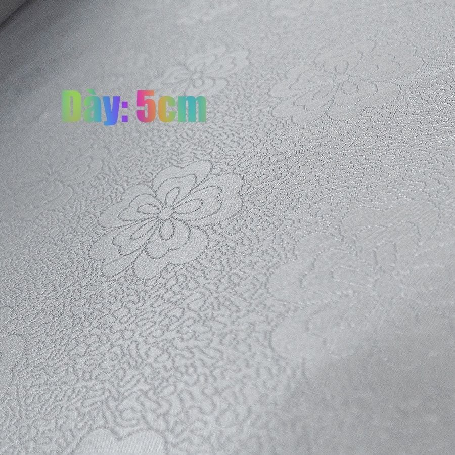 Everon 2023: Đệm bông ép Everon - Dày 5 cm