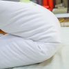 Ruột gối STANDARDSOFT