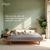 Đệm bông ép Lux Everon (Giao màu ngẫu nhiên)