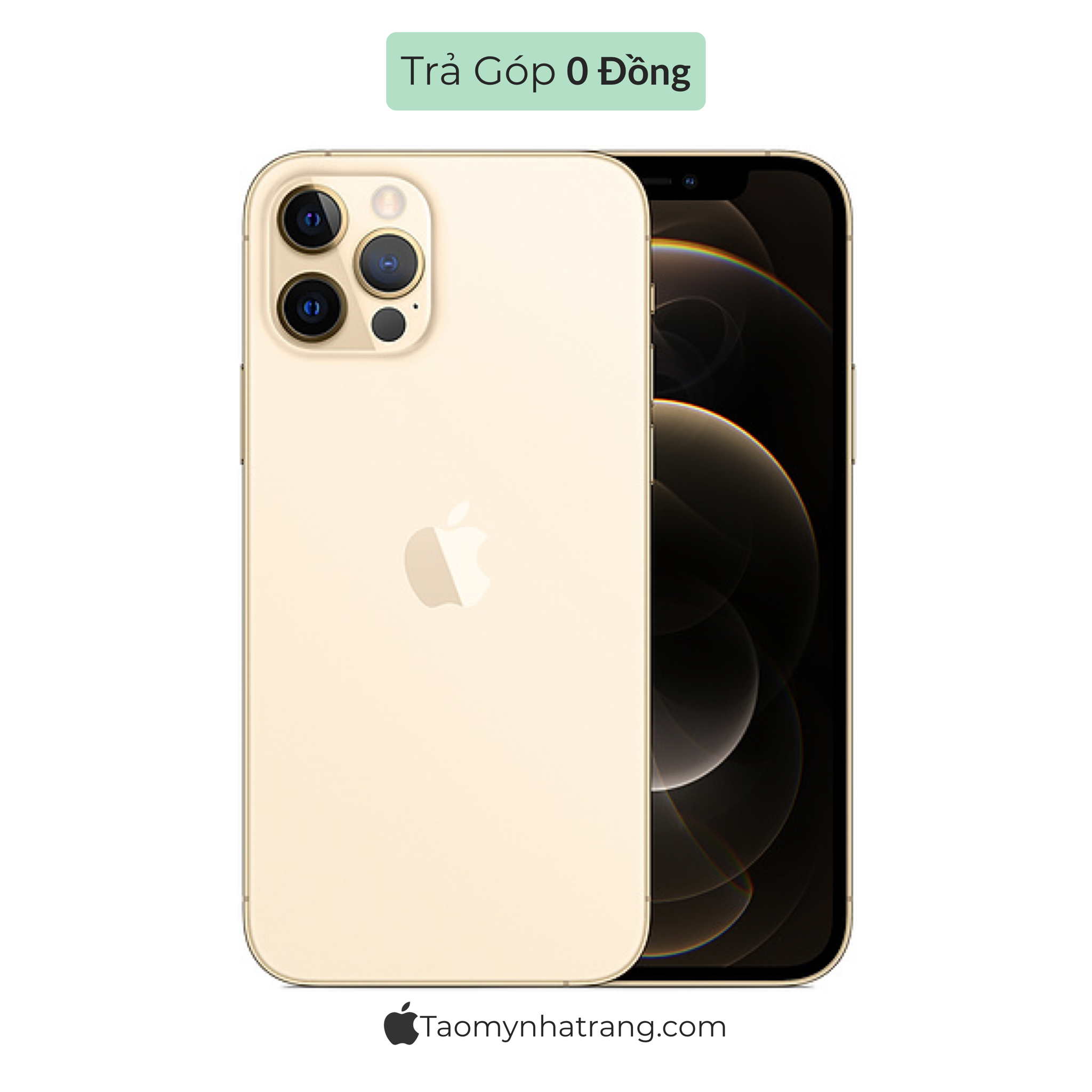  iPhone 12 Pro Max - Quốc Tế 