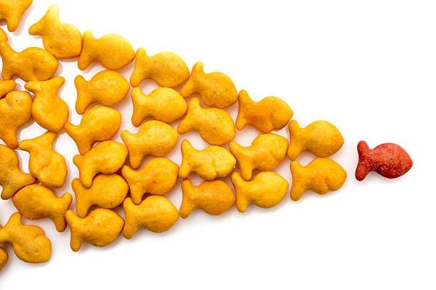  Bánh Cá Goldfish Vị Phô Mai Cheddar Pepperidge Farm 45 gói 28g 