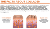  Viên Uống Đẹp Da Collagen Youtheory_Type 1,2&3 