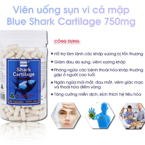 Combo 2 Hộp Sụn Cá Mập Costar Blue Shark Cartilage 750mg 365 Viên, Costar Sụn Cá Mập Blue Shark Cartilage 750mg 30 Viên