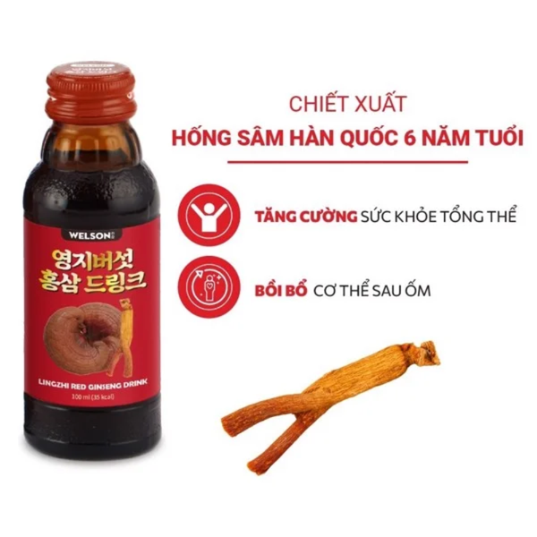 Welson Nước Uống Hồng Sâm Linh Chi Lingzhi Red Ginseng 10 Chai