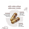 Combo Sáng Da Ngừa Mụn - DHC Vitamin C 30 Ngày, DHC Kẽm 30 Ngày