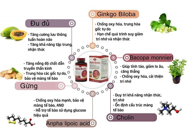 Olympian Labs Viên Uống Bổ Não Và Hỗ Trợ Tuần Hoàn Máu Não Alpha Brain 60 Viên