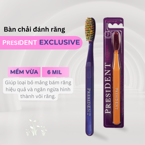 President Bàn Chải Tím Exclusive Lông Cứng Vừa 6MIL