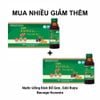 Biok Nước Uống Bổ Gan, Giải Rượu Bavega Hovenia 100ml x 10 Chai