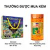 Combo Sữa Ong Chúa Royal Jelly 1450mg 365 Viên Costar & Sallanest Nước Yến Chưng Hạt Chia 30% Tổ Yến 6 Hũ x 70ml