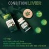Kolmar Thực Phẩm Hỗ Trợ Tăng Cường Chức Năng Gan Condition Liver 90 Viên