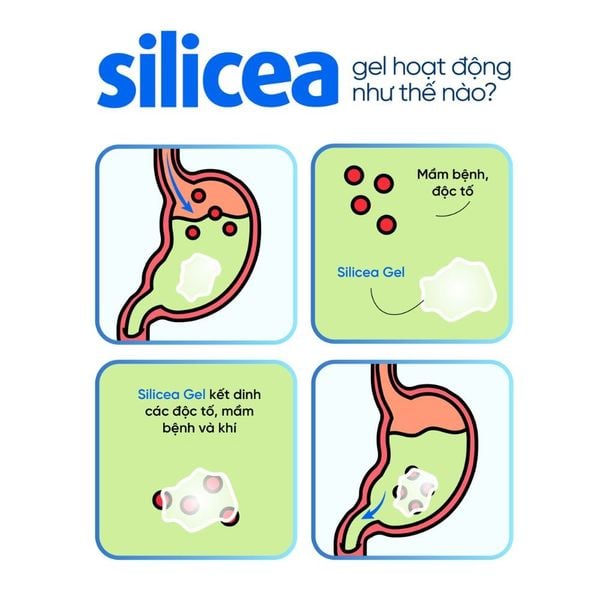 Silicea Gel Giảm Tác Dụng Phụ R.ượu B.ia, Trào Ngược Dạ Dày, Rối Loạn Tiêu Hóa Co Thắt Của Đức 30 Gói