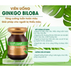 SpringLeaf Viên Uống Hỗ Trợ Trí Não Ginkgo Biloba 2000mg 120 Viên