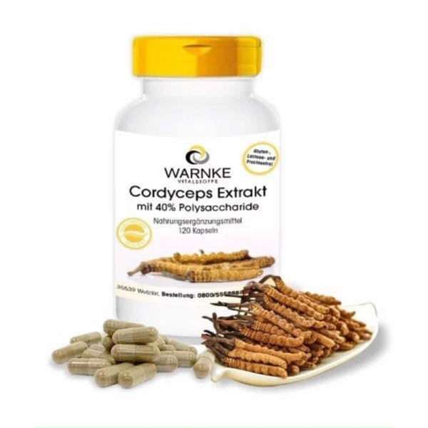 Warnke Viên Uống Đông Trùng Hạ Thảo Cordyceps Extrakt 500mg 120 Viên