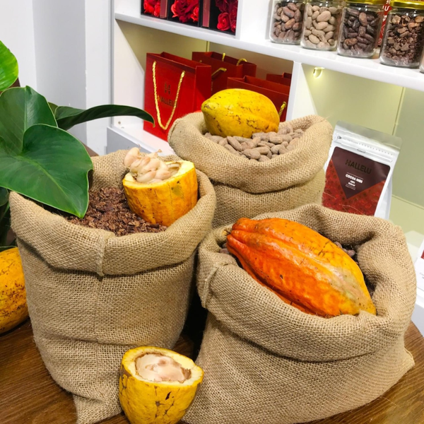 Hallelu Bột Cacao Nguyên Chất Thượng Hạng 200g