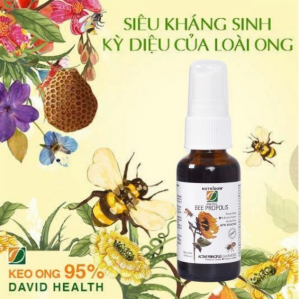 David Health Xịt Keo Ong Hỗ Trợ Hô Hấp Bee Propolis 30ml