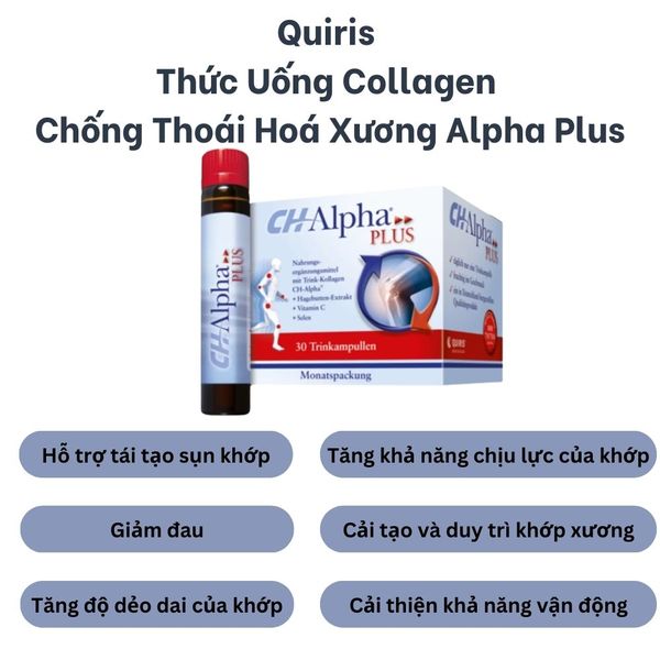 Quiris Thức Uống Collagen Chống Thoái Hoá Xương CH - Alpha Plus 30 Ống