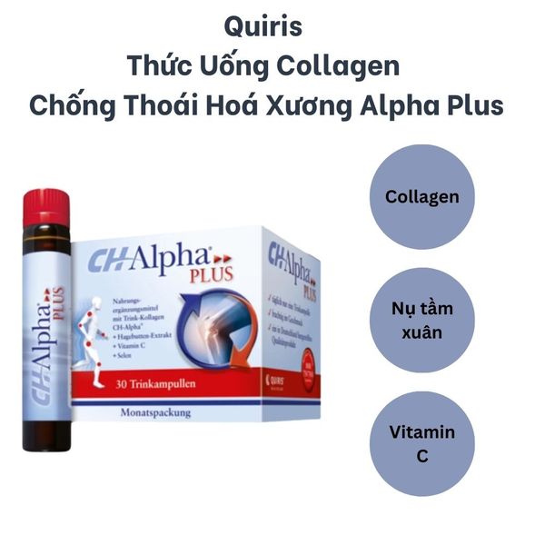 Quiris Thức Uống Collagen Chống Thoái Hoá Xương CH - Alpha Plus 30 Ống