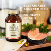 Solgar Viên Uống Dầu Cá Omega 3 Fish Oil Hỗ Trợ Giảm Mỡ Máu, Bổ Não Concentrate 120 Viên