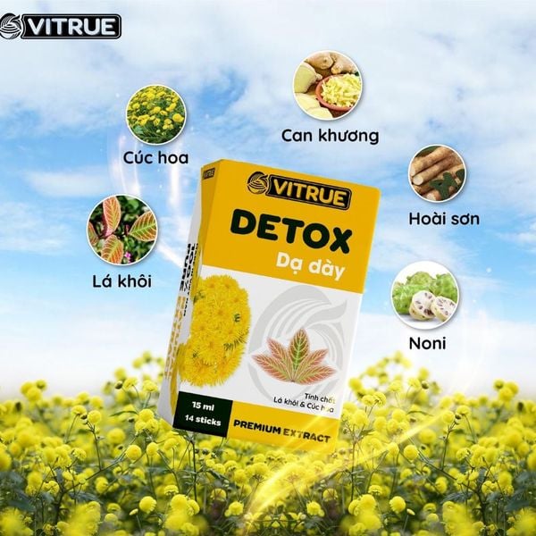 Vitrue Tinh Chất Thảo Dược Detox Thải Độc, Làm Sạch Niêm Mạc, Tăng Cường Hệ Miễn Dịch Dạ Dày Hộp 14 Gói