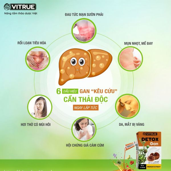 Vitrue Tinh Chất Thảo Dược Detox Tăng Cường Chức Năng Thải Độc Gan, Hỗ Trợ Hạ Men Gan Hộp 14 Gói