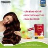 Vitrue Lady Tinh Chất Đông Trùng Hạ Thảo Và Nấm Môn Chùm Tăng Cường Sinh Lý Nữ, Cân Bằng Nội Tiết Tố Hộp 14 Gói