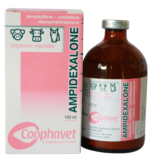  AMPIDEXALONE 