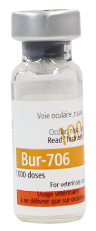  BUR-706 