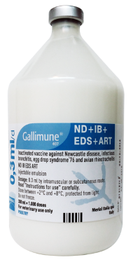 GALLIMUNE 407® ND+IB+EDS+ART