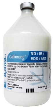  GALLIMUNE 407® ND+IB+EDS+ART 