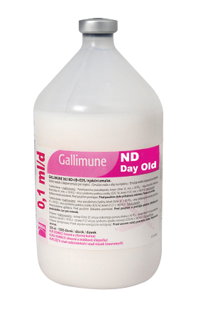 GALLIMUNE ND DAY OLD