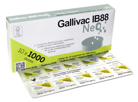 GALLIVAC IB88 NEO