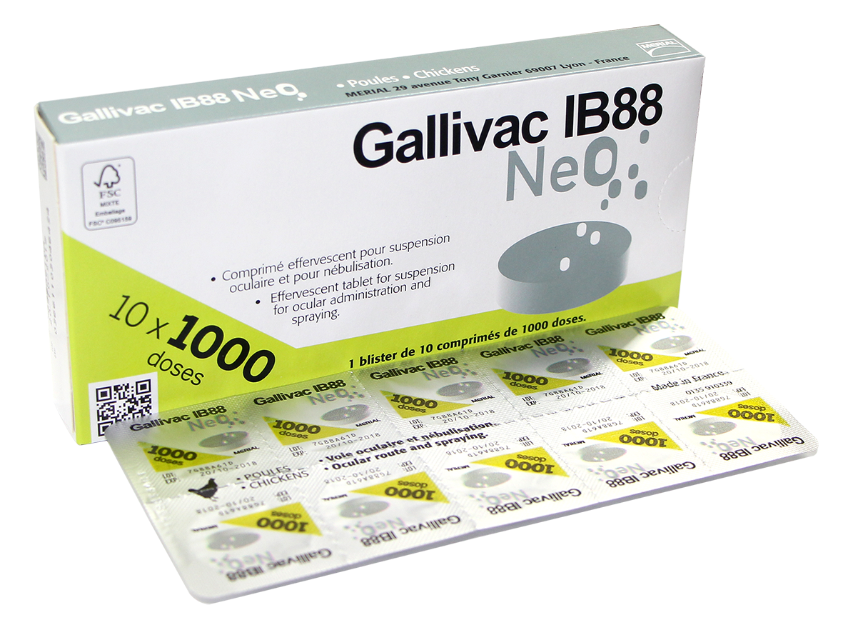  GALLIVAC IB88 NEO 
