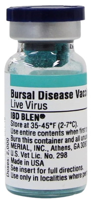 IBD BLEN