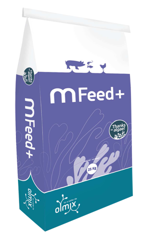 MFEED+ AQUA