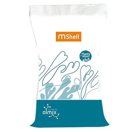 MSHELL