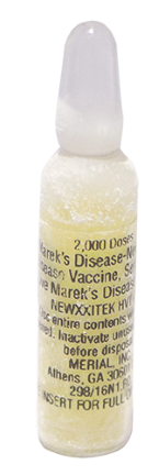 NEWXXITEK HVT+ND