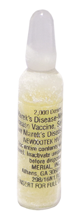  NEWXXITEK HVT+ND 