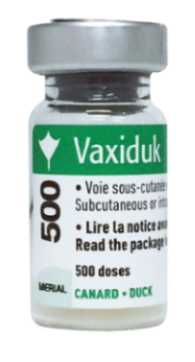 VAXIDUK