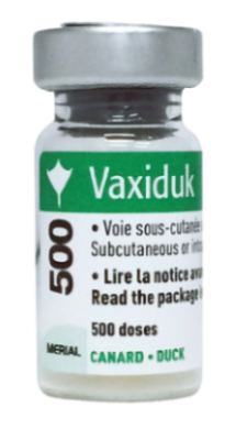  VAXIDUK 
