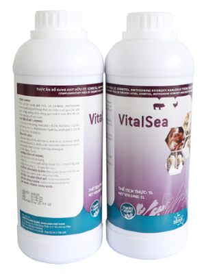 VITALSEA