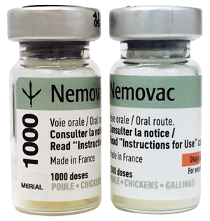 NEMOVAC