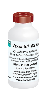 VAXSAFE® MS VACCINE